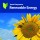 Renewable Energy